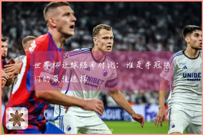 世界杯让球赔率对比：谁是夺冠热门的最佳选择