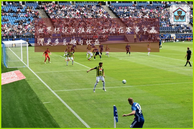 世界杯投注推荐：如何在赛事中赢得更多乐趣与收益