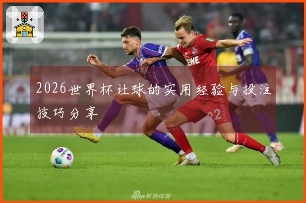 2026世界杯让球的实用经验与投注技巧分享