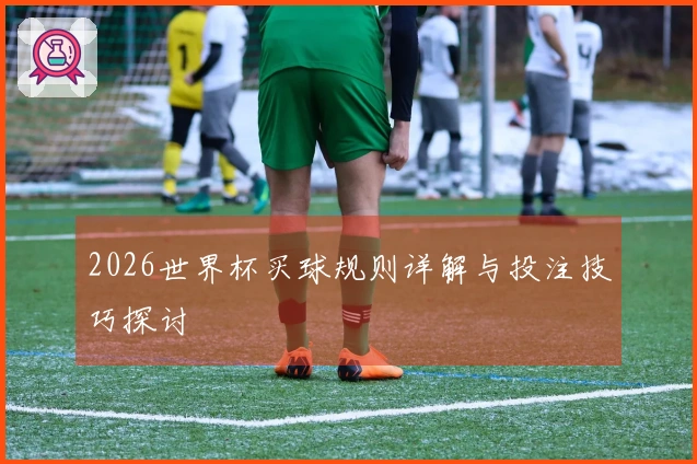 2026世界杯买球规则详解与投注技巧探讨