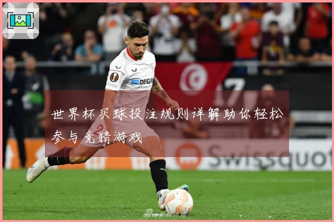 世界杯买球投注规则详解助你轻松参与竞猜游戏