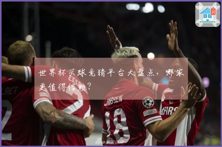 世界杯买球竞猜平台大盘点，哪家更值得信赖？