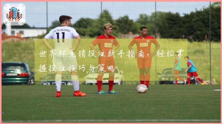 世界杯竞猜投注新手指南，轻松掌握投注技巧与策略