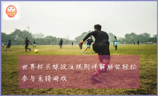 世界杯买球投注规则详解助你轻松参与竞猜游戏