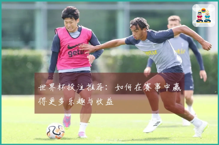 世界杯投注推荐：如何在赛事中赢得更多乐趣与收益