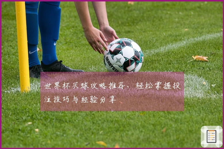 世界杯买球攻略推荐，轻松掌握投注技巧与经验分享