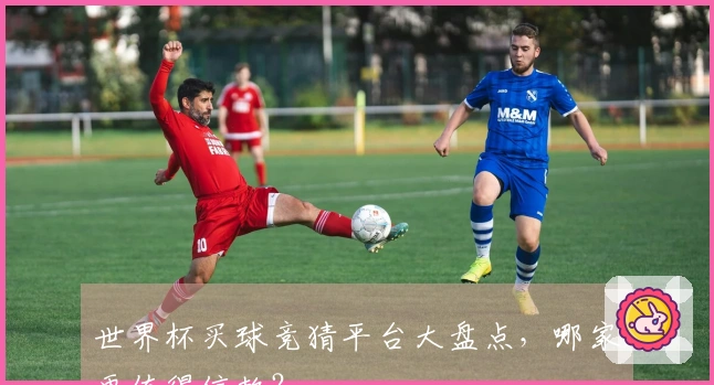 世界杯买球竞猜平台大盘点，哪家更值得信赖？
