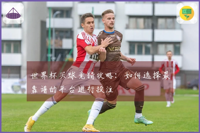 世界杯买球竞猜攻略：如何选择最靠谱的平台进行投注