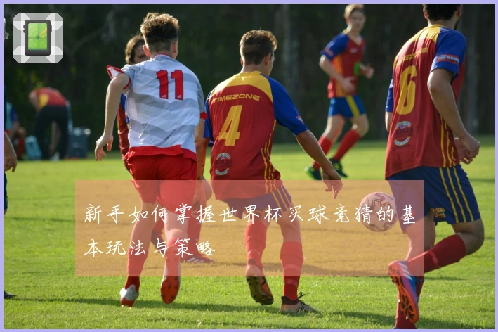 新手如何掌握世界杯买球竞猜的基本玩法与策略