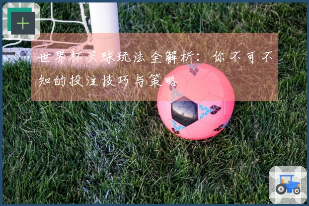 世界杯买球玩法全解析：你不可不知的投注技巧与策略
