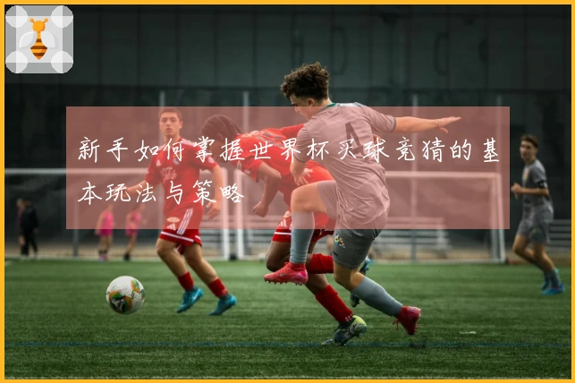 新手如何掌握世界杯买球竞猜的基本玩法与策略