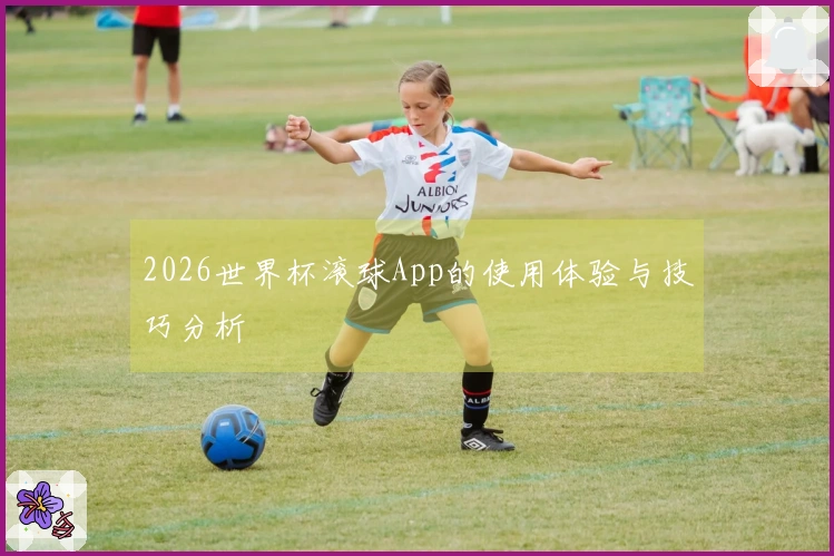 2026世界杯滚球App的使用体验与技巧分析